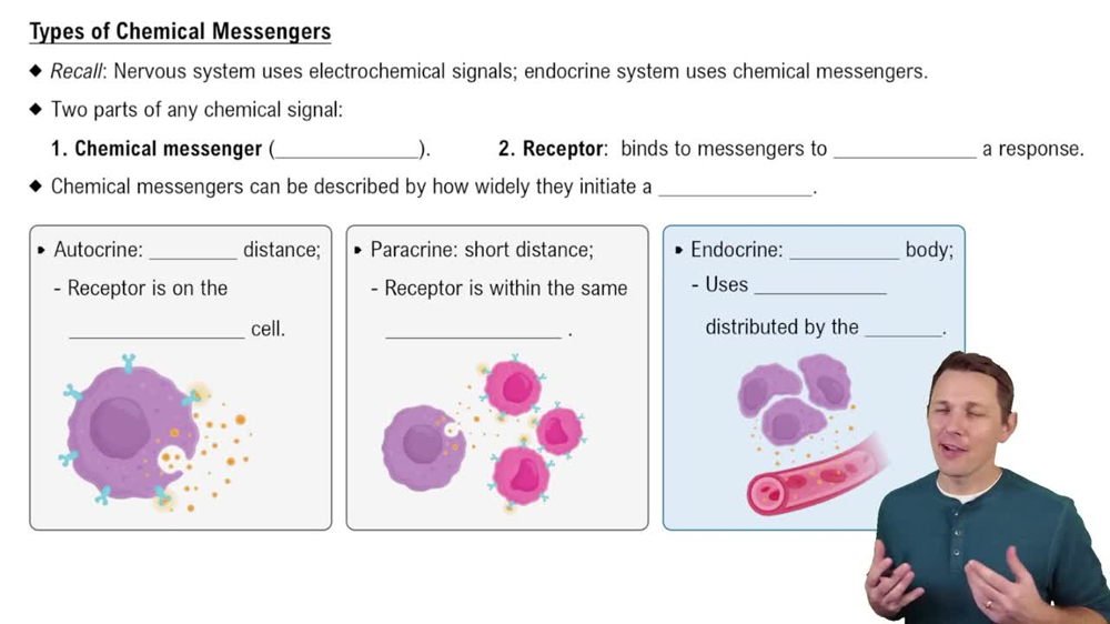 Types of Chemical Messengers