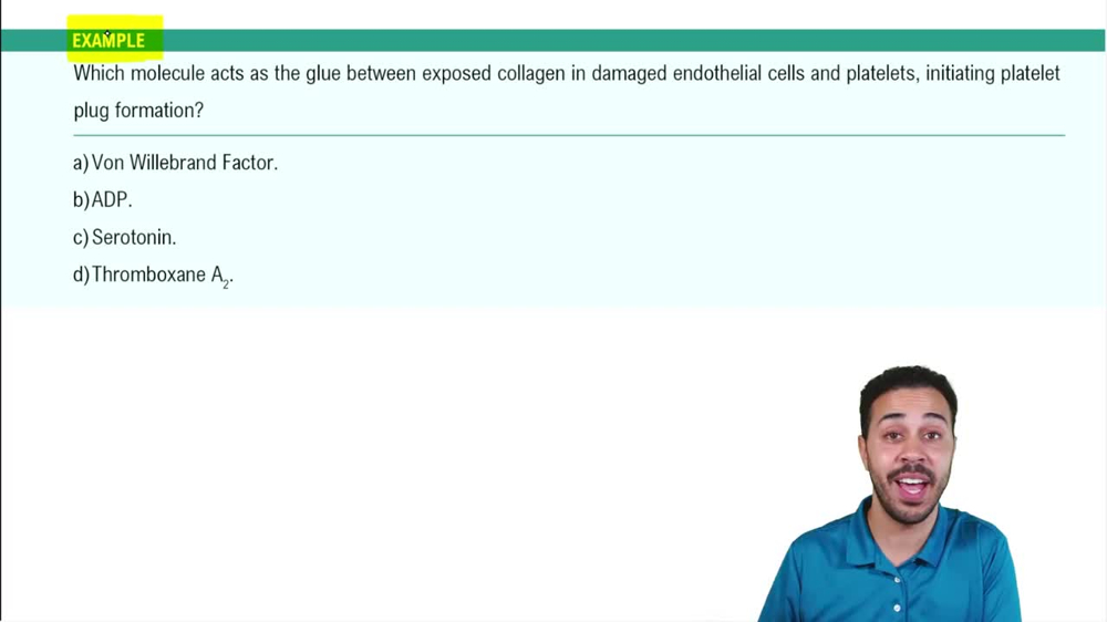 Platelets: Hemostasis Example 4