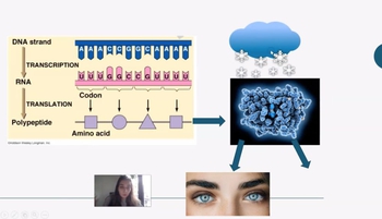Gene Expression and Environmental Factors