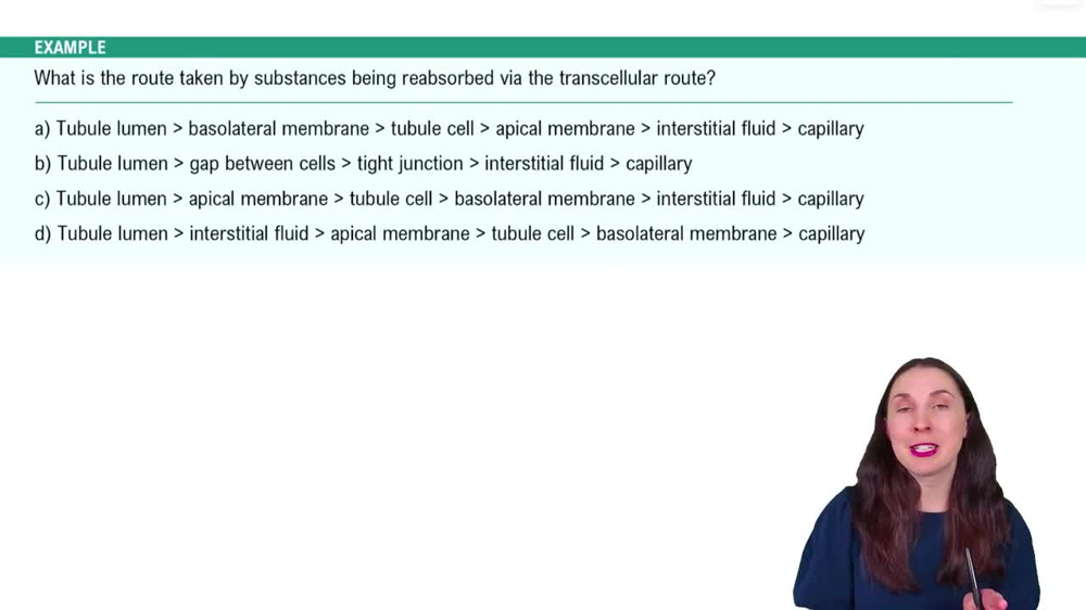 Renal Physiology Step 2: Tubular Reabsorption Example 1