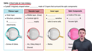 Eyeball