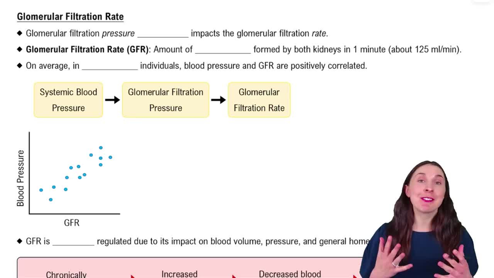 Glomerular Filtration Rate