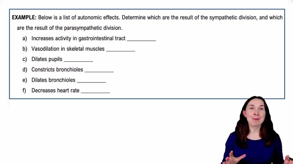 Parasympathetic Nervous System Example 1