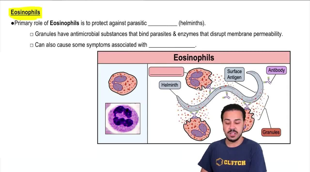Eosinophils