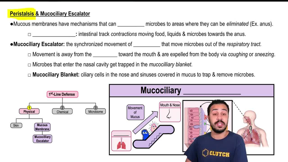 Physical Barriers in First-Line Defenses: Mucous Membrane