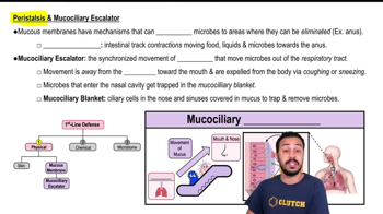Physical Barriers in First-Line Defenses: Mucous Membrane