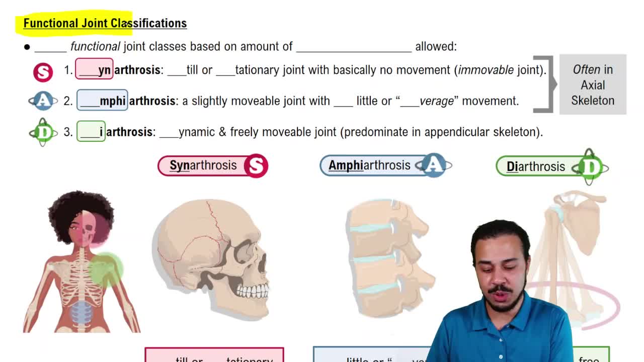 Functional Joint Classifications