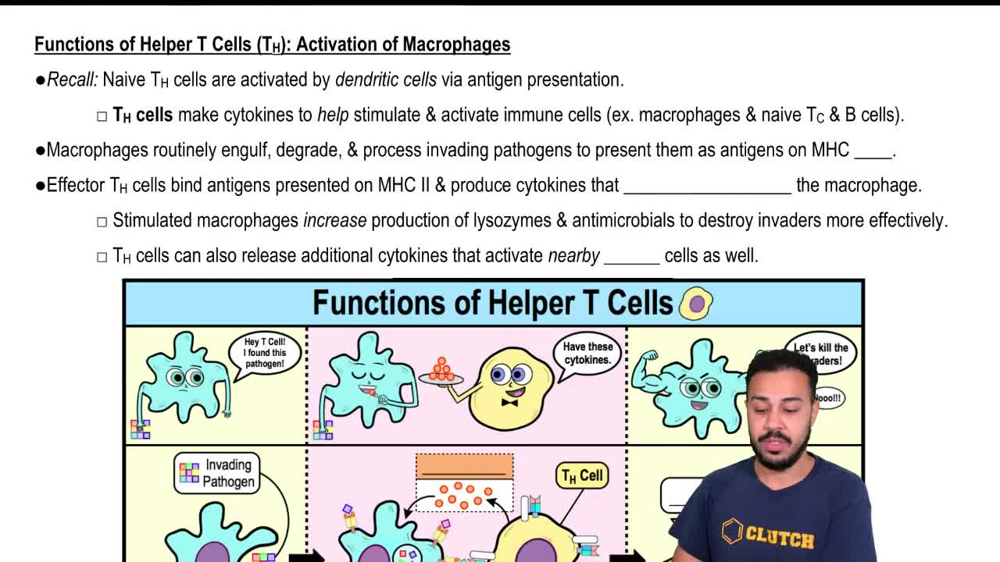 Functions of Helper T Cells: Activation of Macrophages