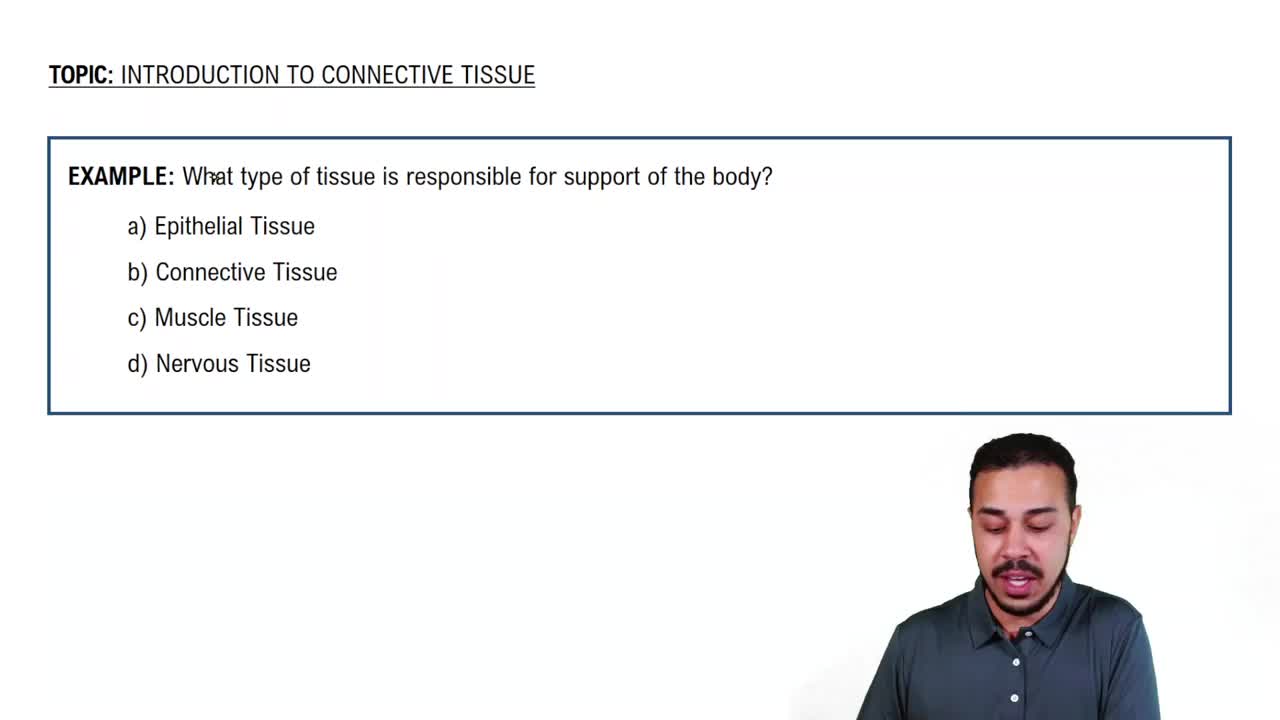 Introduction to Connective Tissue Example 1
