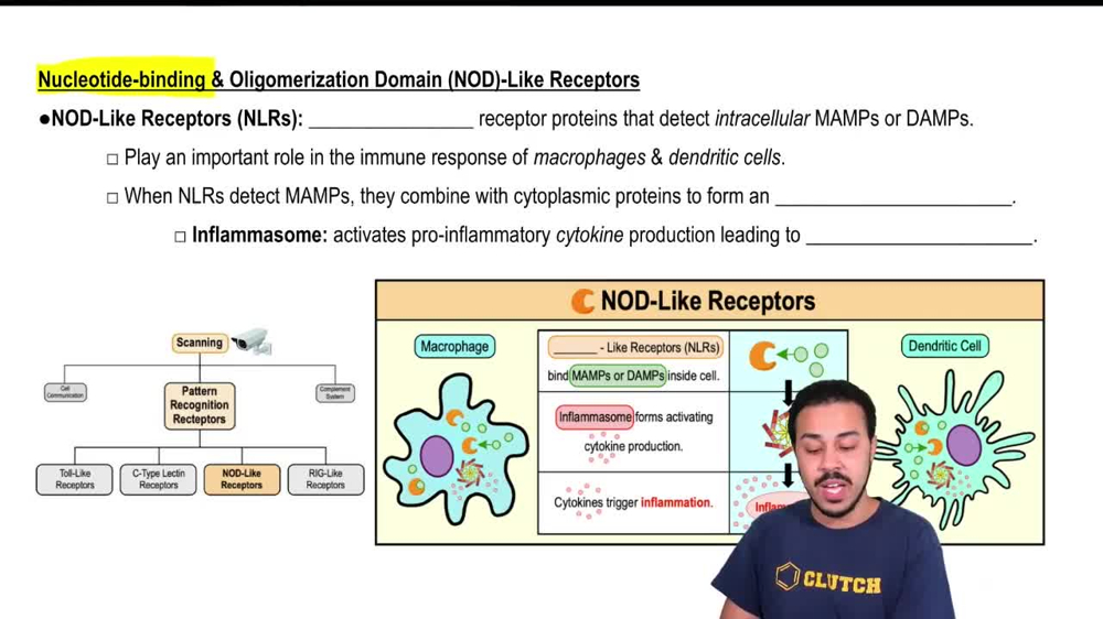 Nucleotide-Binding & Oligomerization Domain (NOD)-Like Receptors