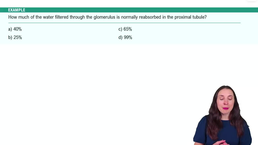 Renal Physiology Step 2: Tubular Reabsorption Example 7