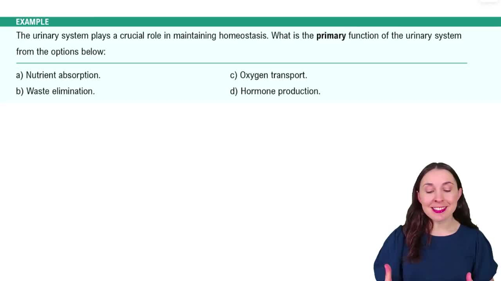 Introduction to the Urinary System Example 1