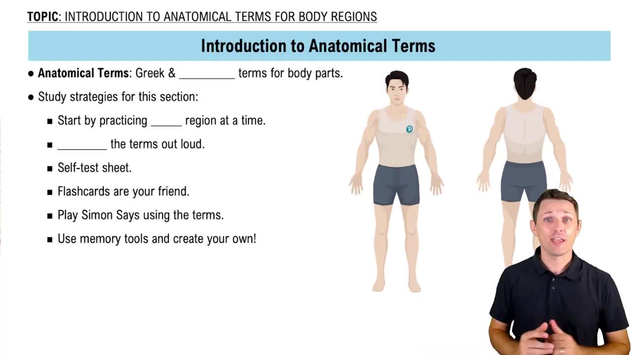 Introduction to Anatomical Terms