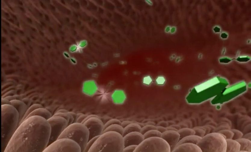 Homeostasis: Regulating Blood Sugar