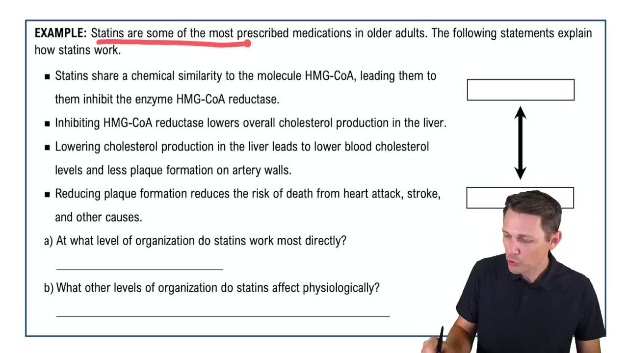 Levels of Organization Example 1