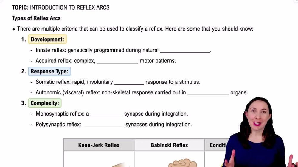 Types of Reflex Arcs
