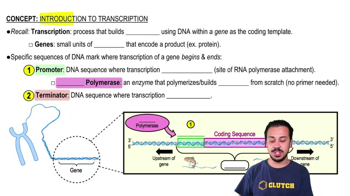 Introduction to Transcription