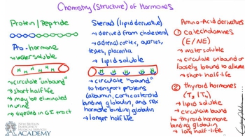 Chemistry of Hormones