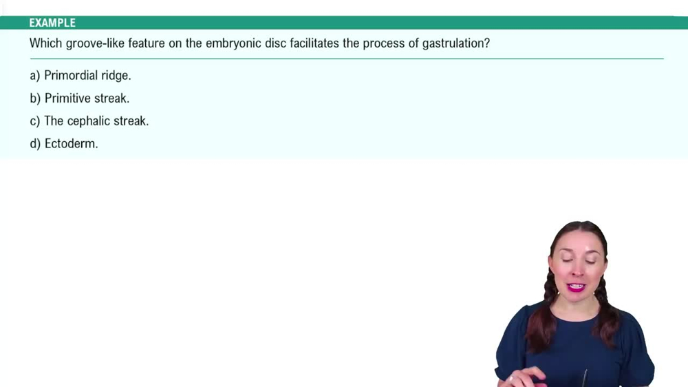 Embryonic Development (Weeks 3-8) Example 1