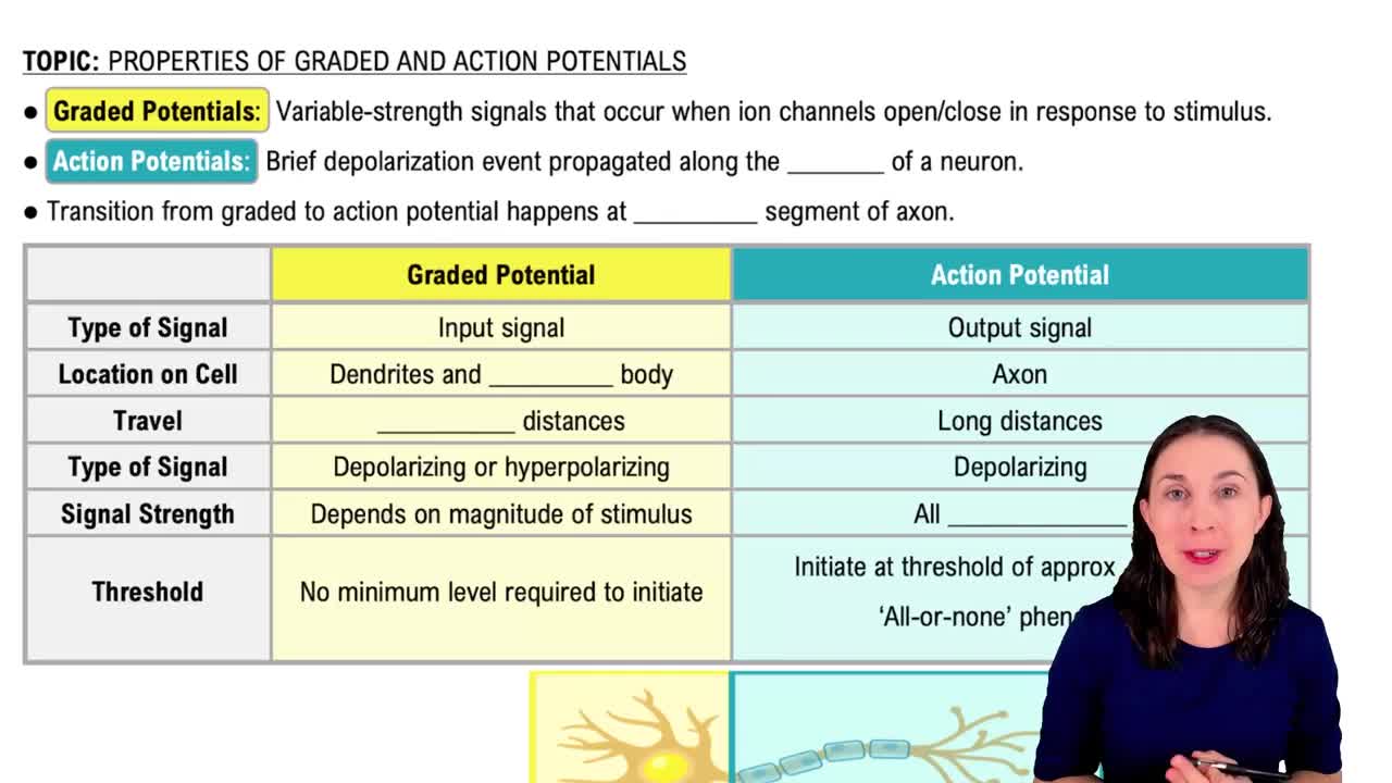 Graded and Action Potentials
