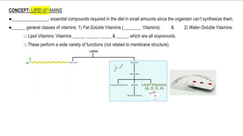 Lipid Vitamins