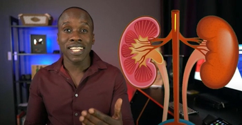 Kidney Blood Supply - Blood Flow to, Through, and Away from Kidneys