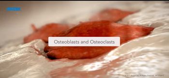 Osteoblasts and Osteoclasts