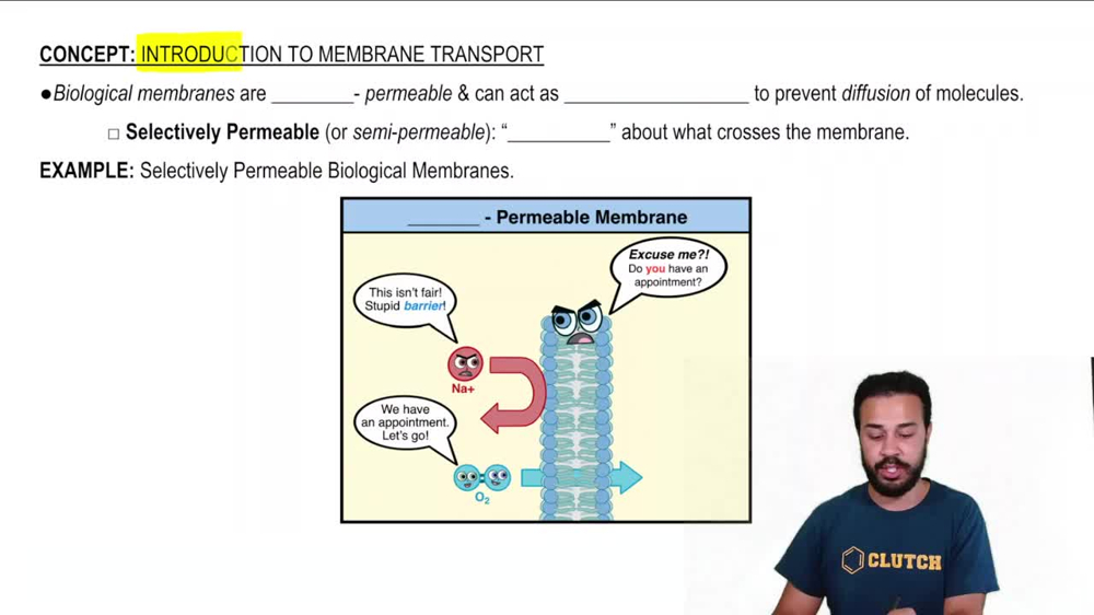 Introduction to Membrane Transport
