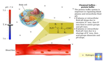 Chemical Buffers