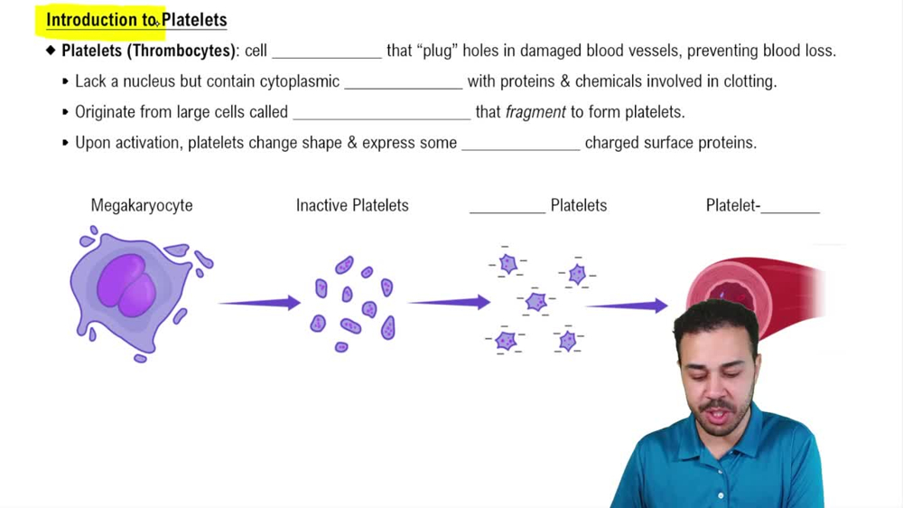 Introduction to Platelets