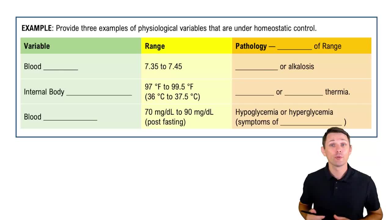 Homeostasis Example 1