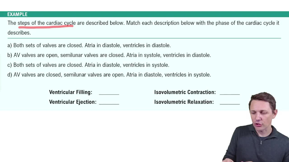 Cardiac Cycle Example 2