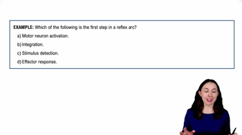 Introduction to Reflex Arcs Example 1