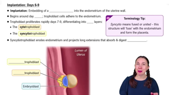 Implantation: Days 6-9