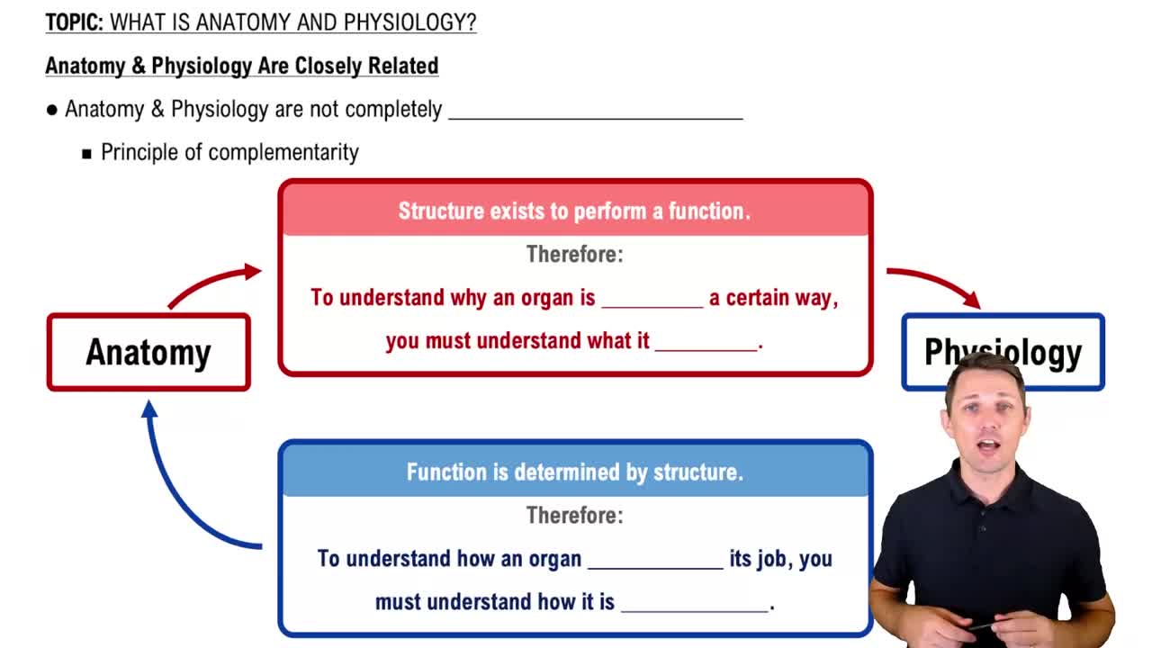 How Anatomy and Phyisology Are Related