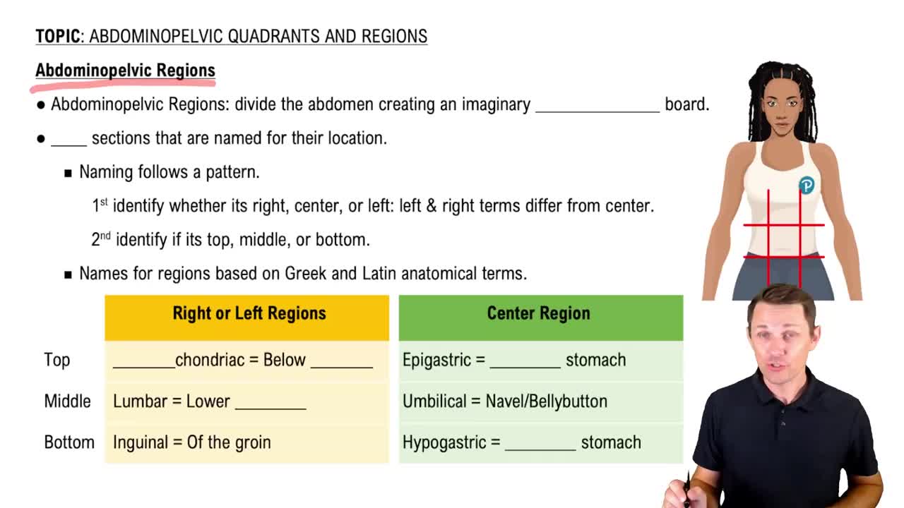 The 9 Abdominopelvic Regions