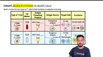 Review of Cytotoxic vs Helper T Cells