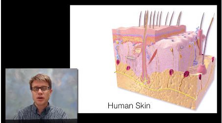 Integumentary System