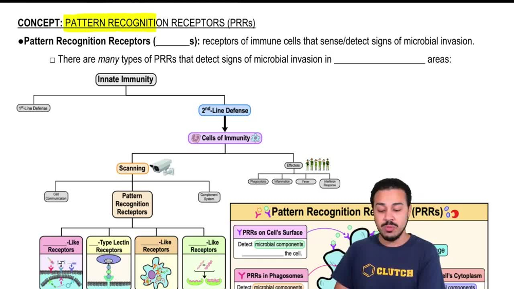 Pattern Recognition Receptors