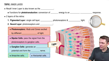 Inner Layer