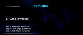 Classification of Nutrients