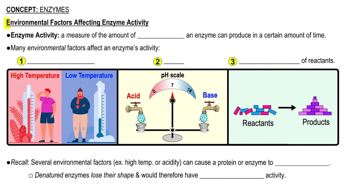 Environmental Factors Affecting Enzyme Activity