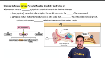 Earwax