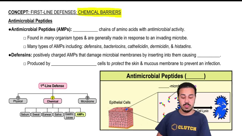 Antimicrobial Peptides