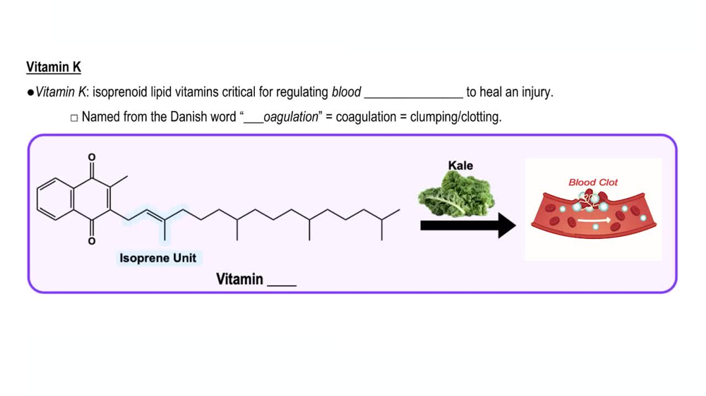 Vitamin K