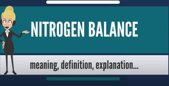 What is Nitrogen Balance? What does Nitrogen Balance mean?