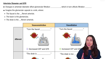 Arteriolar Diameter and GFR