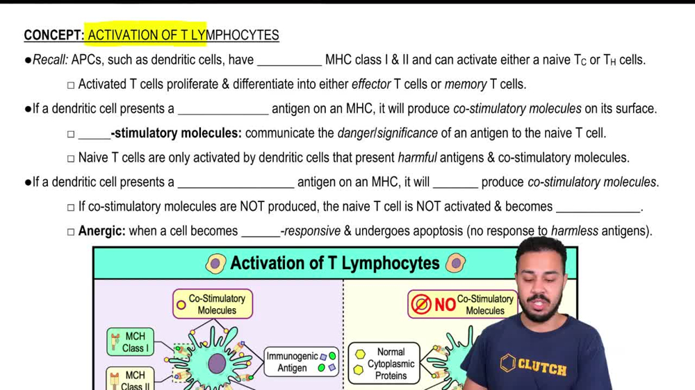 T-Cell Activation