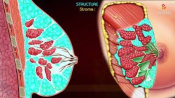 Gross Anatomy of the Mammary Gland - Relations ,Blood supply , Lymphatic drainage ,Development