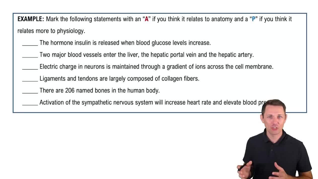 What is Anatomy & Physiology? Example 1